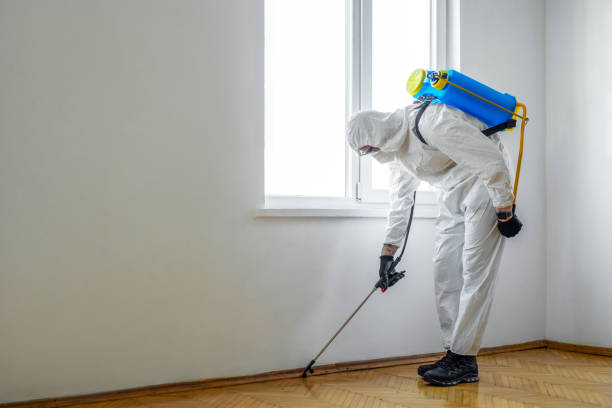 Best Cockroach Control Services  in Oxford, AL