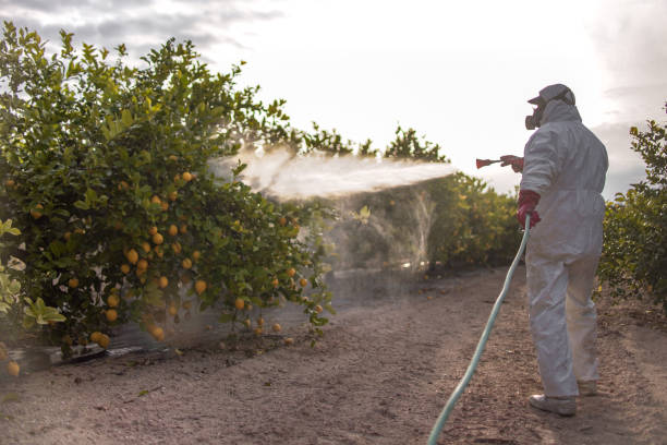 Best Wildlife Control Services  in Oxford, AL