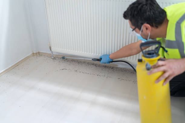 Best Residential Pest Control  in Oxford, AL