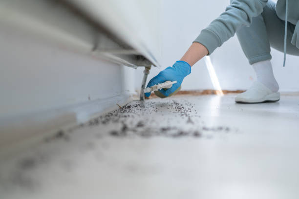 Best Local Pest Control Services  in Oxford, AL