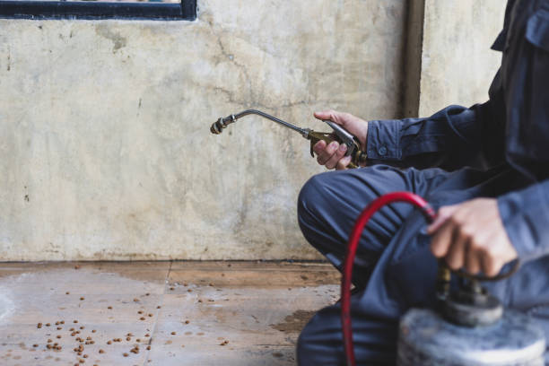 Best Pest Removal Services  in Oxford, AL